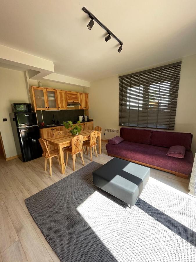 Apartament Zakopane Willa Hrube Parter Z Tarasem I Kominkiem Экстерьер фото