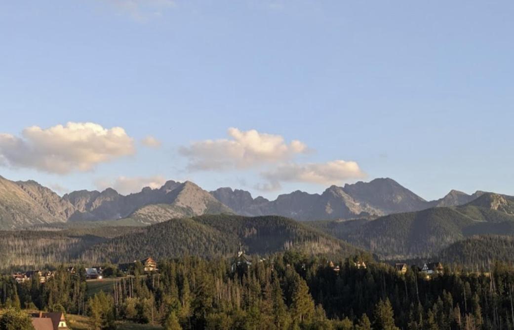 Apartament Zakopane Willa Hrube Parter Z Tarasem I Kominkiem Экстерьер фото